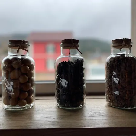 De Charme Pour 6 Pers., Proche Ski, Wifi, Parking, Animaux Admis - Fr-1-589-683 *