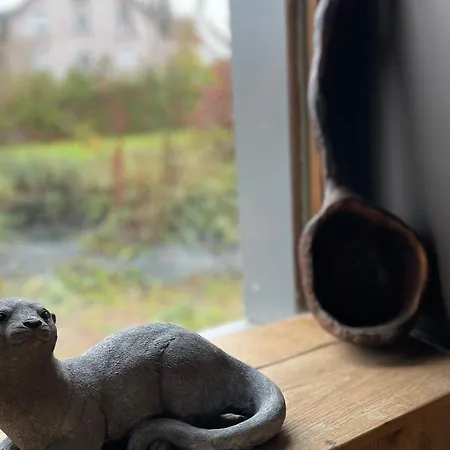 De Charme Pour 6 Pers., Proche Ski, Wifi, Parking, Animaux Admis - Fr-1-589-683 * Cornimont